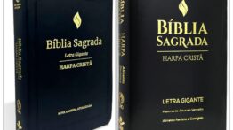 O Desenvolvimento do Texto do Novo Testamento da Bíblia Almeida Revista e Atualizada e Nova Almeida Atualizada